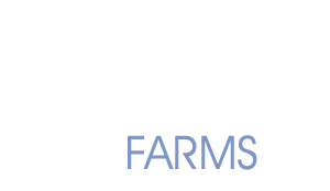 Addison Farms white logo